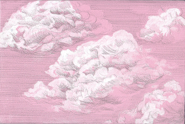 Pink Study by Jenny Walton, Image 1.