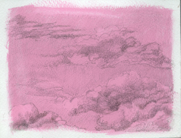 Pink Expectations by Jenny Walton