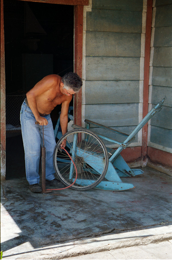 Untitled (Bicycle Wheel) by Daniele Tamagni Foundation