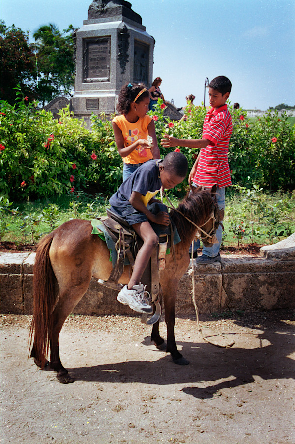 Untitled (Small Horse) by Daniele Tamagni Foundation