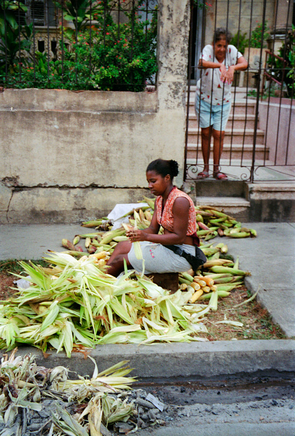Untitled (Corn) by Daniele Tamagni Foundation