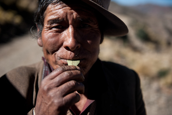 Untitled (Coca Leaves #2) by Daniele Tamagni Foundation
