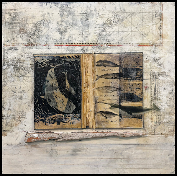 Cetacea by Graceann Warn