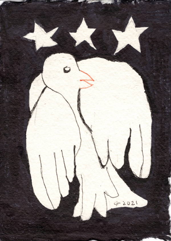 Untitled #169 (bird with black background)