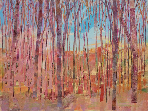 Walk in the Woods by Susan G Abbott