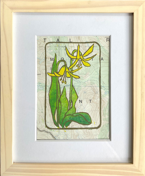 Glacier Lilies 5/13 by Susan G Abbott, Image 1.