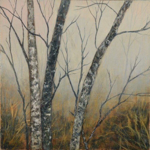 Light Forest Study by Christine Gedye