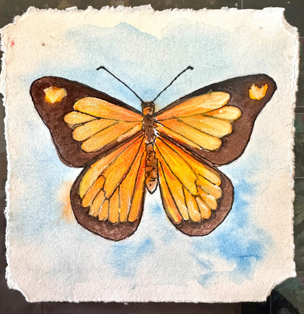 Freedom by Glenda Brown