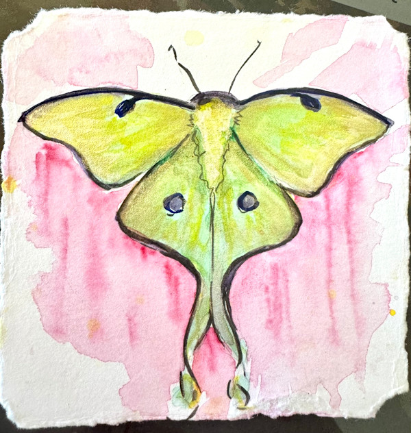 grace by Glenda Brown