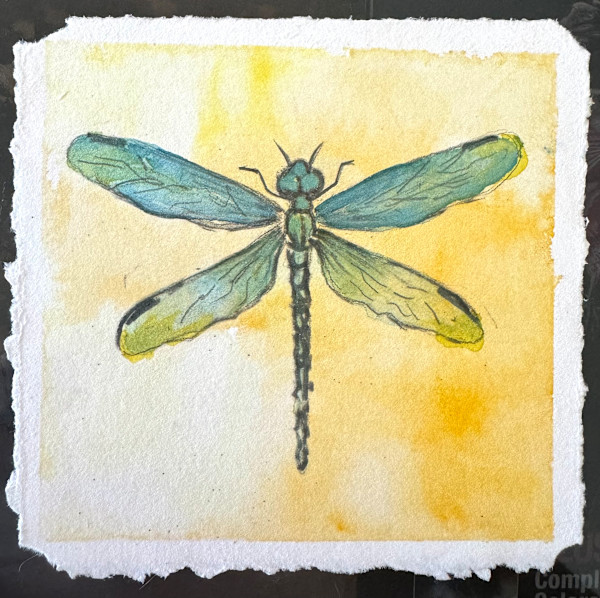 Wisdom by Glenda Brown