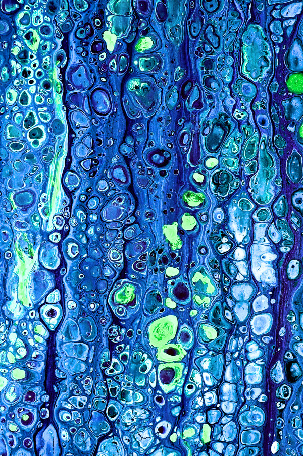 WillSchmahl_OceanCellDrip_ by Will Schmahl