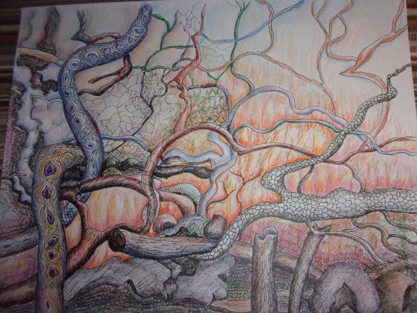 Nature on Fire by Ada Monica Sperling
