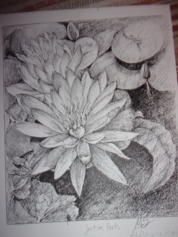 Flowers IV by Ada Monica Sperling