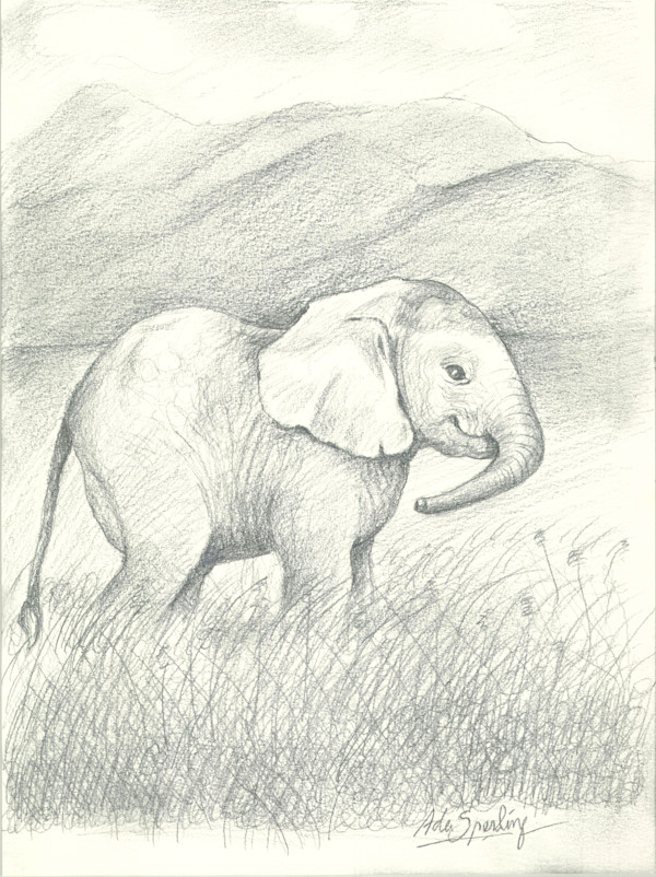 Baby Elephant by Ada Monica Sperling