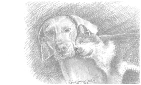 Best Friends Dog and Cat by Ada Monica Sperling