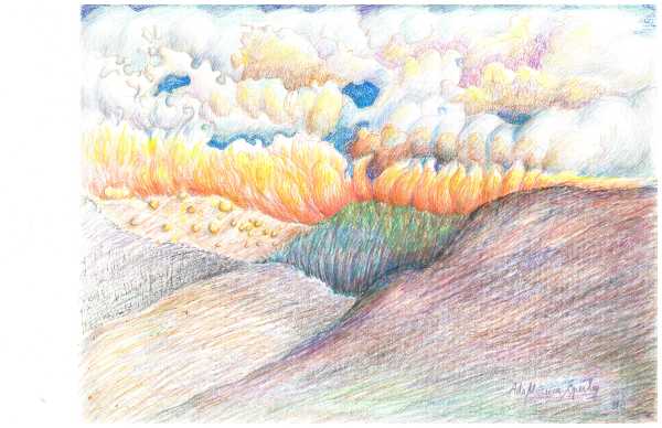 Forest Fire by Ada Monica Sperling