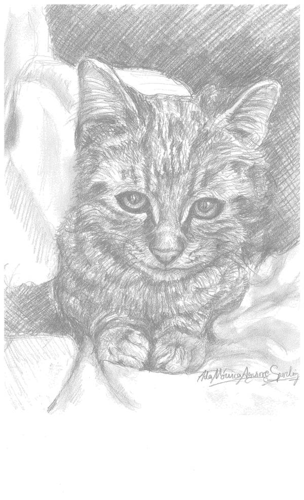 Kitten I by Ada Monica Sperling
