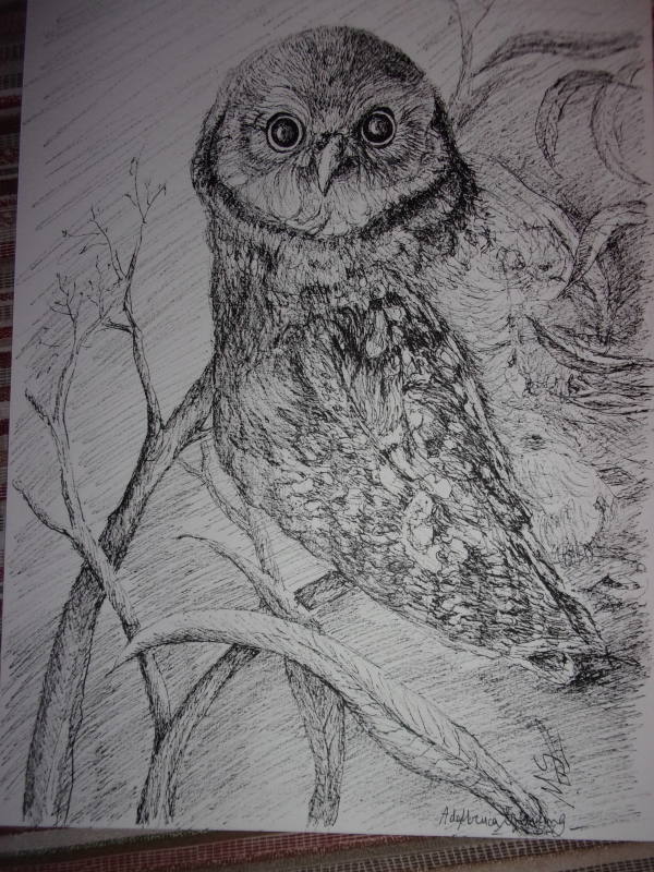 Owl I by Ada Monica Sperling