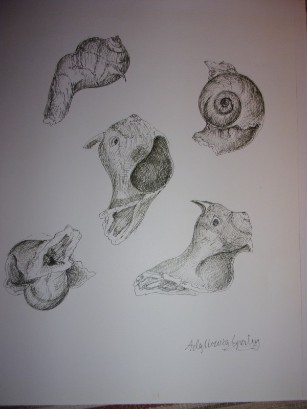Seashells I by Ada Monica Sperling