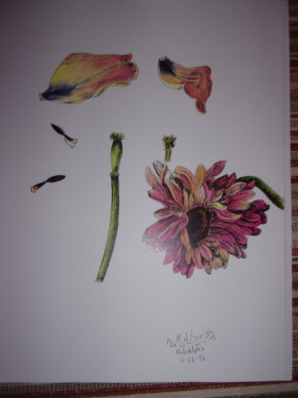 Sunflower I
