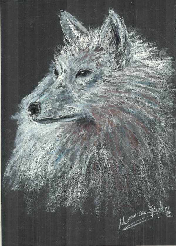 Winter Wolf by Ada Monica Sperling