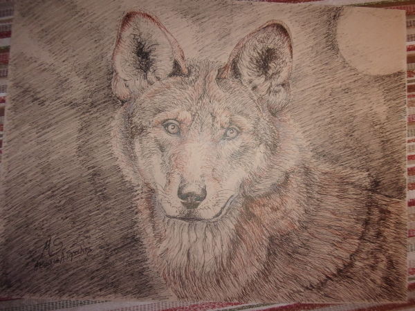 Wolf II