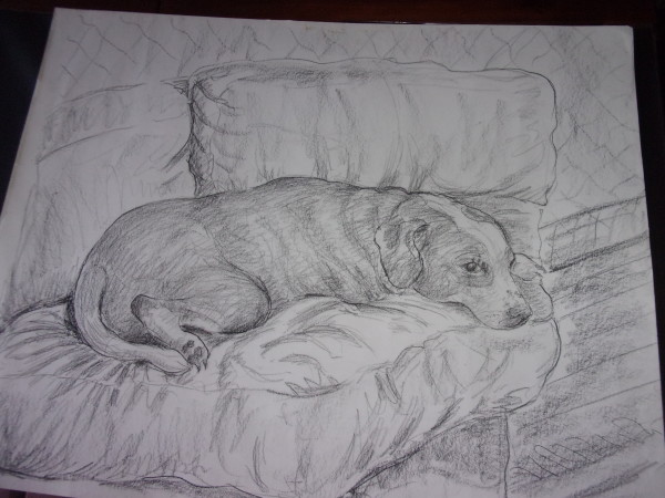 Lacey on Couch by Ada Monica Sperling