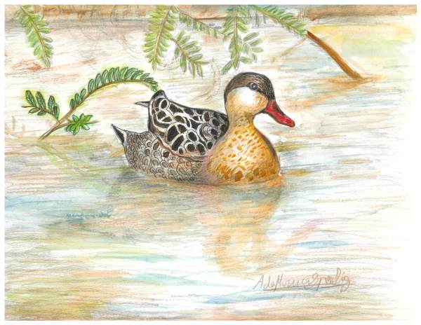 Pond and Plumage by Ada Monica Sperling