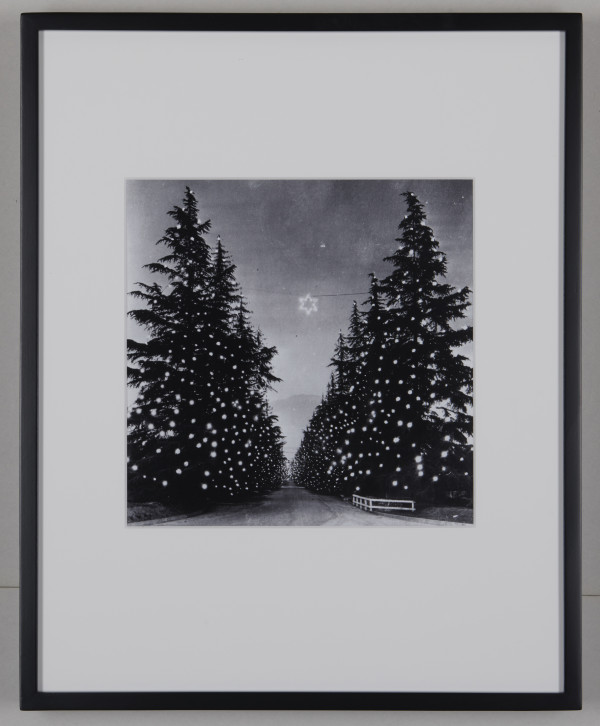 Christmas Tree Lane, Altadena by Unknown