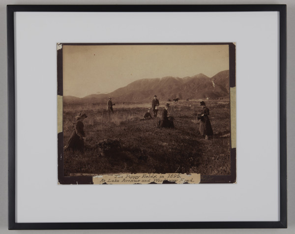 The Poppy Fields at Lake Avenue and Woodbury Road in 1895 by Unknown