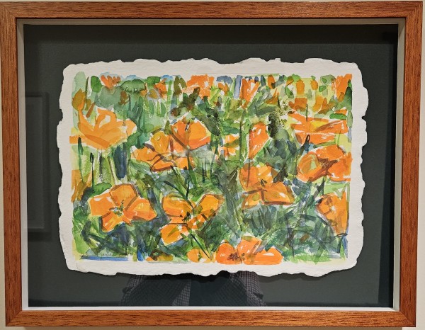 California Poppies by Zolita Sverdlove