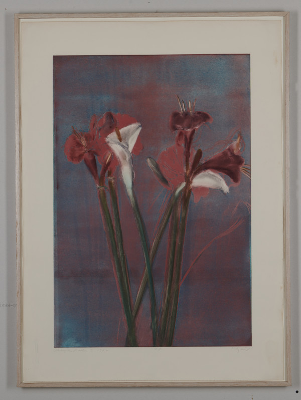 Amaryllis/Calla I by Michael Mazur