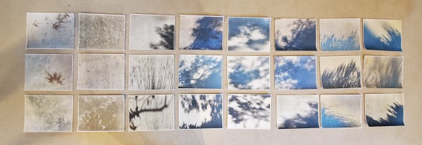 MonteCedro Sidewalks by Pat C Tom