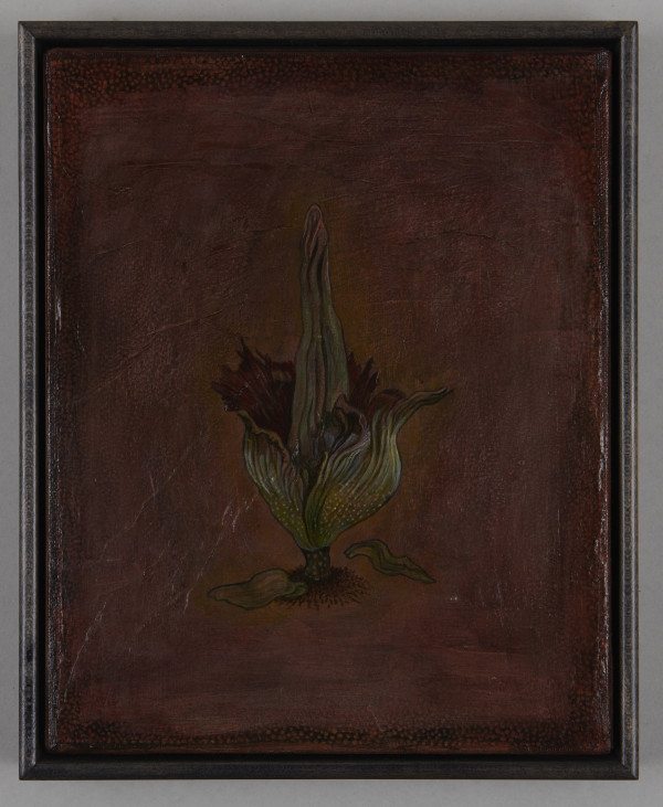 Amorphophallus by Olga Seem