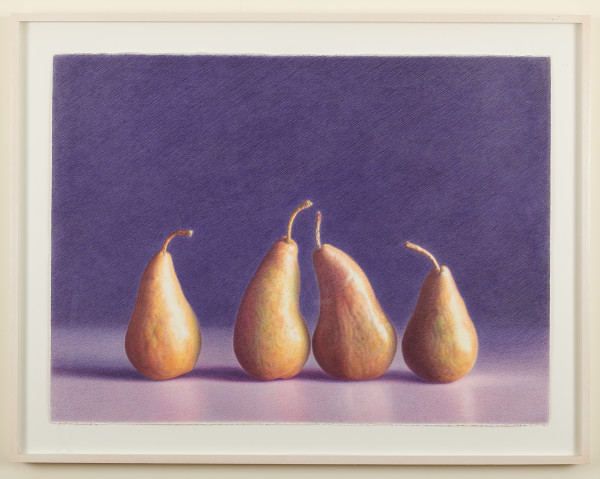 Four Bosc Pears Chiaroscuro by Martha Alf