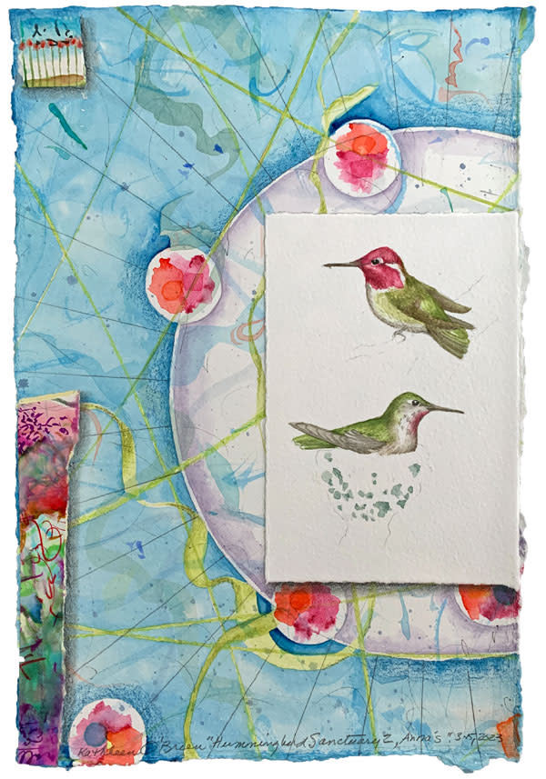 Hummingbird Sanctuary, Anna's by Kathleen O'Brien