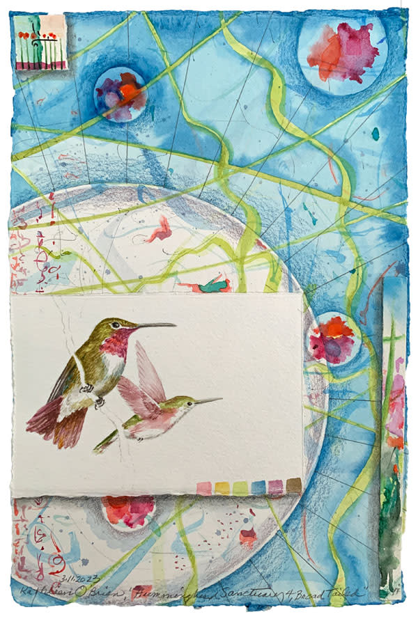 Hummingbird Sanctuary, Broad Tailed by Kathleen O'Brien