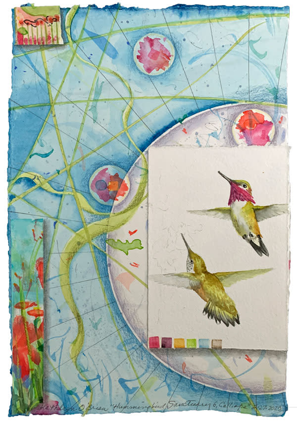 Hummingbird Sanctuary, Calliope by Kathleen O'Brien