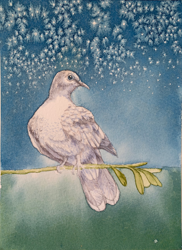 Dove by Kathleen O'Brien