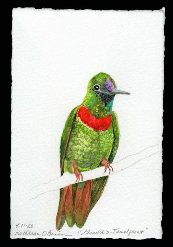 Hummingbird Joy, Gould’s Jewelfront by Kathleen O'Brien