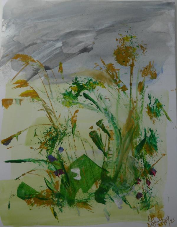 Wildflowers at Dryhill 5 by Elaine Almond