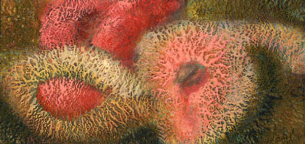 tastebud by Pat Goslee, Image 1.