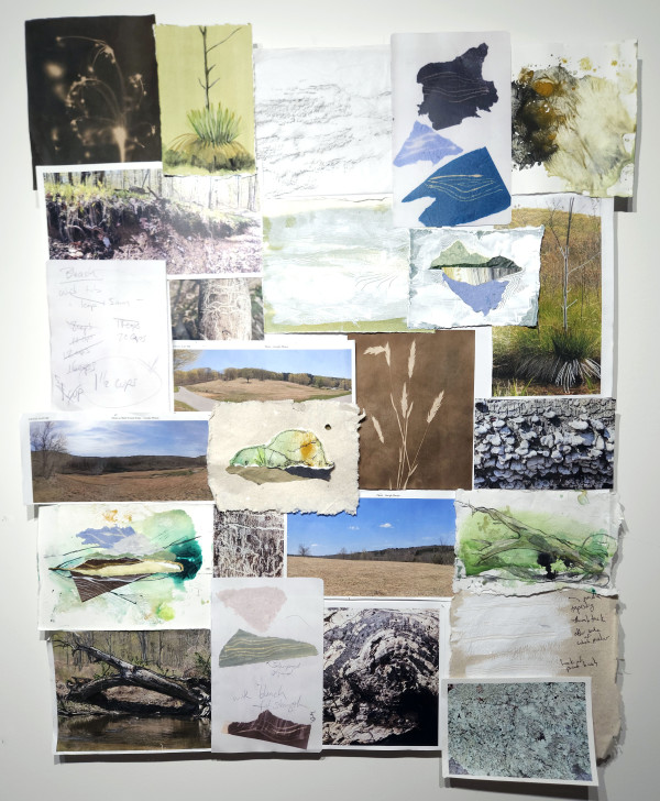 WPR Documentation 2 (canvas) by Allison Belolan