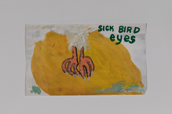 Sick bird eyes