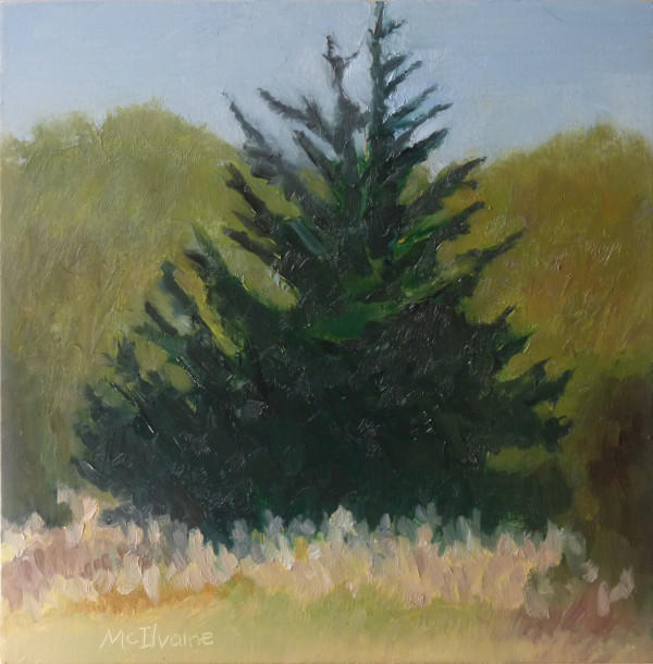 Pines and Sea Grass by Joanne McIlvaine