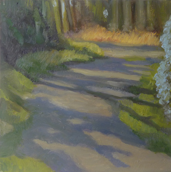 Trail with Shadows by Joanne McIlvaine