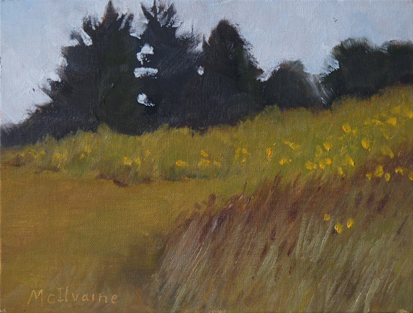 June 9, 2025 by Joanne McIlvaine
