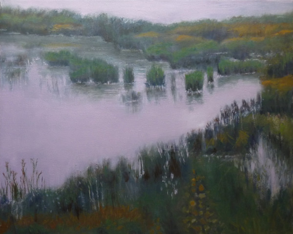 Pink Marsh by Joanne McIlvaine