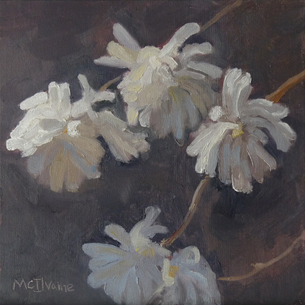 Stauffer Park Magnolias by Joanne McIlvaine, Image 1.