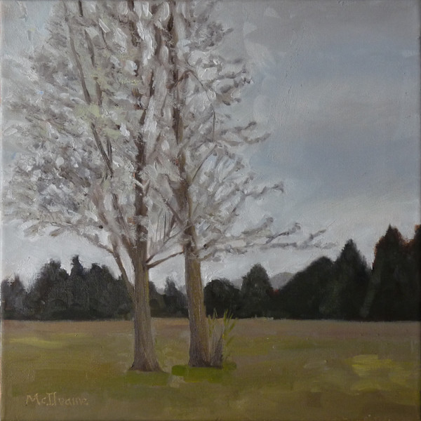 Study of a White Tree by Joanne McIlvaine, Image 1.